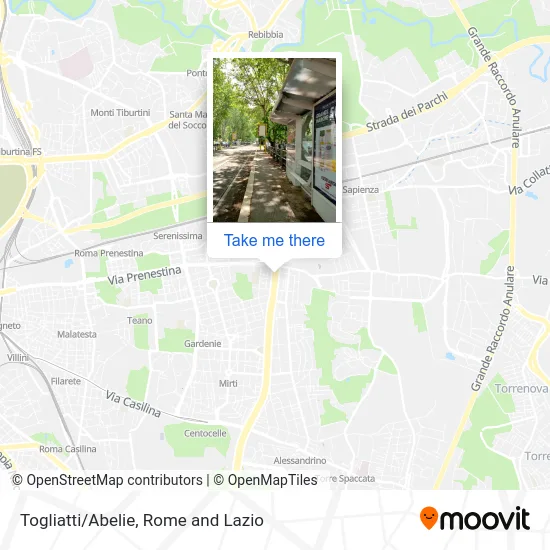 Togliatti/Abelie map