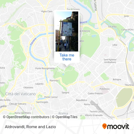 Aldrovandi map