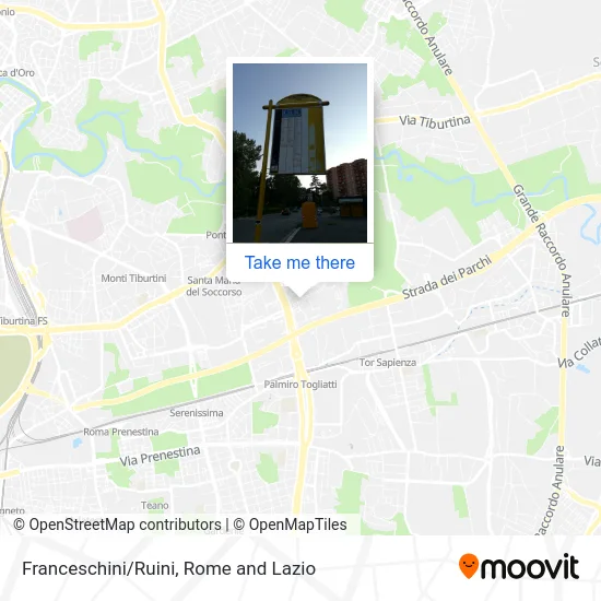 Franceschini/Ruini map