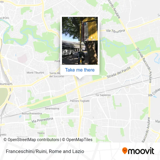 Franceschini/Ruini map