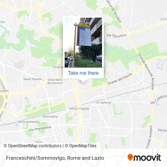 Franceschini/Sommovigo map