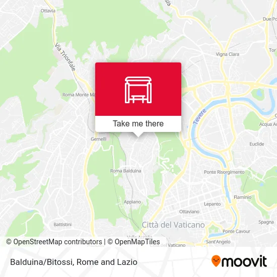 Balduina/Bitossi map