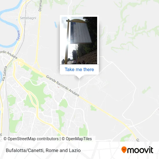 Bufalotta/Canetti map