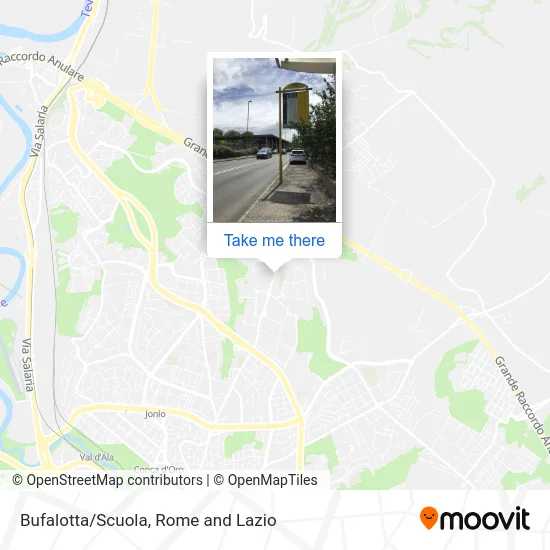 Bufalotta/School map