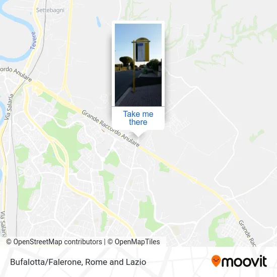 Bufalotta/Falerone map