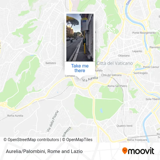 Aurelia/Palombini map
