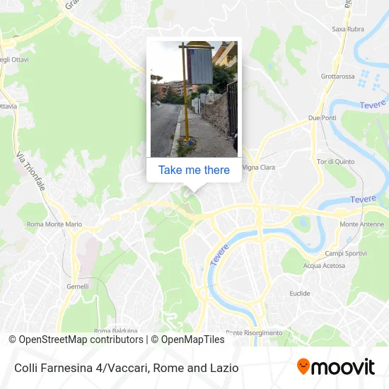 Colli Farnesina 4/Vaccari map