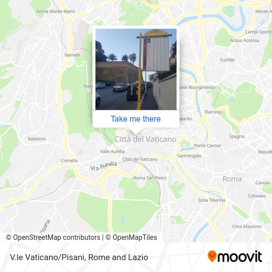 Vatican Avenue/Pisani map