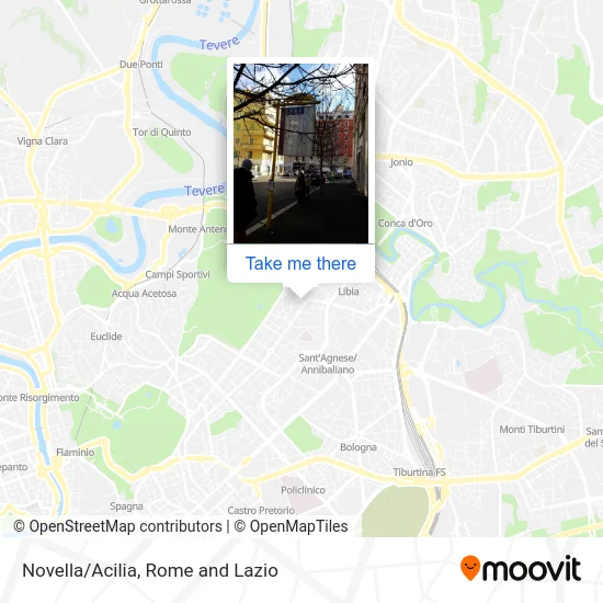 Novella/Acilia map