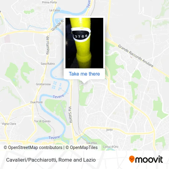 Cavalieri/Pacchiarotti map