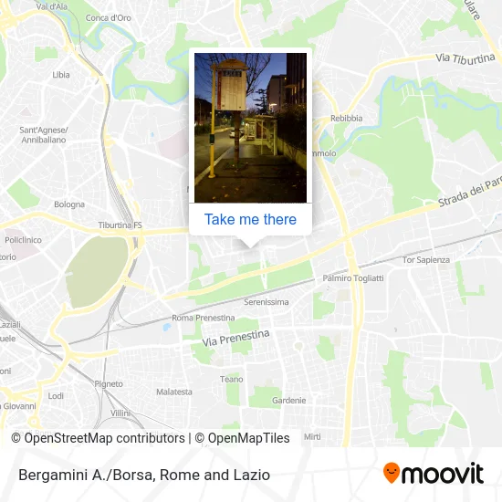 Bergamini A./Exchange map