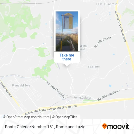 Ponte Galeria/Number 181 map