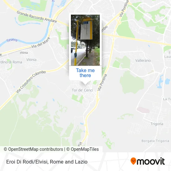 Heroes of Rhodes/Elvisi map