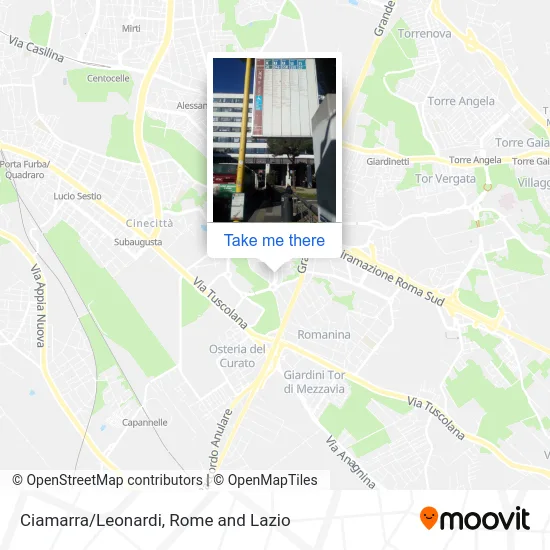 Ciamarra/Leonardi map