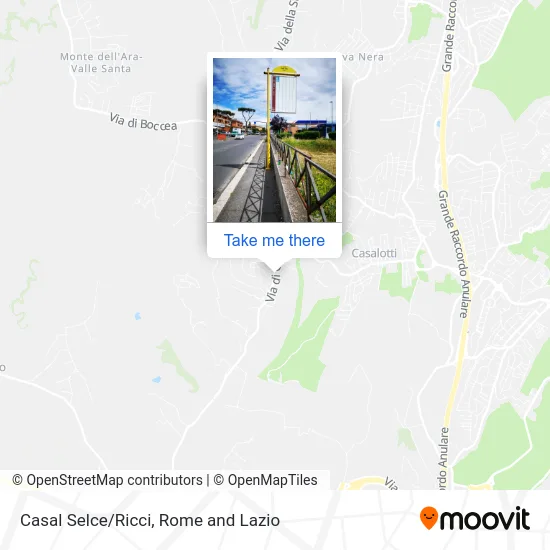 Casal Selce/Ricci map