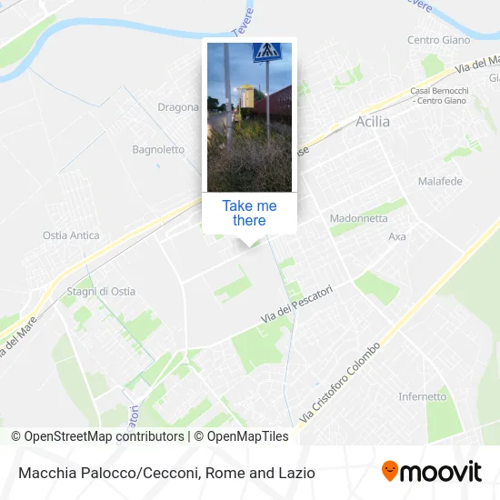 Macchia Palocco/Cecconi map