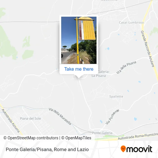 Ponte Galeria/Pisana map