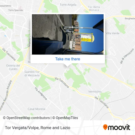 Tor Vergata/Volpe map