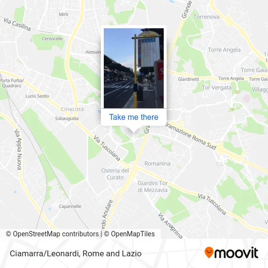 Ciamarra/Leonardi map