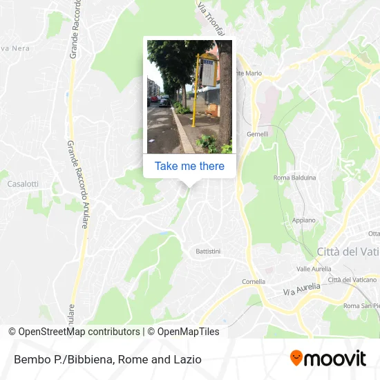 Bembo P./Bibbiena map