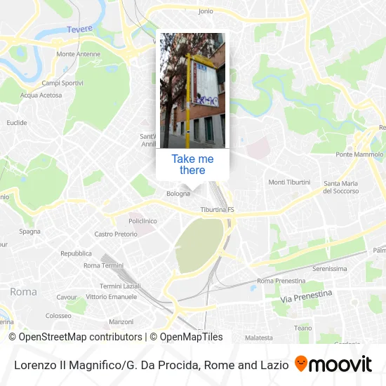 Lorenzo Il Magnifico / G. Da Procida map