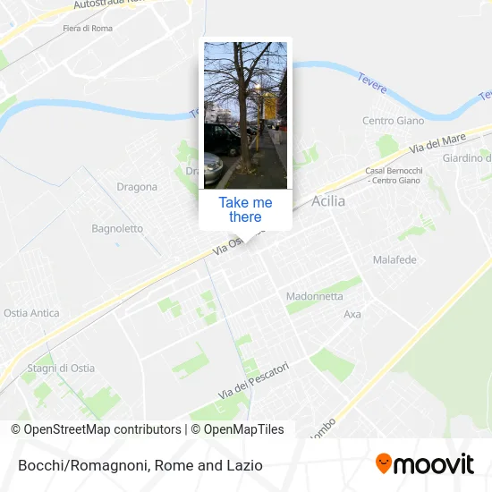 Bocchi/Romagnoni map