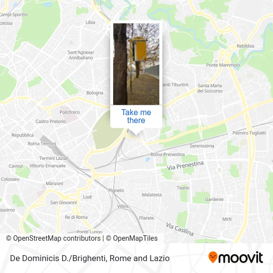 De Dominicis D./Brighenti map