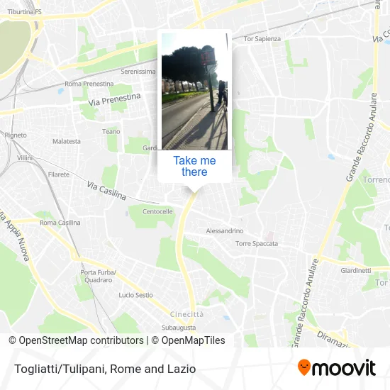 Togliatti/Tulipani map