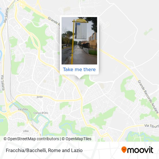 Fracchia/Bacchelli map