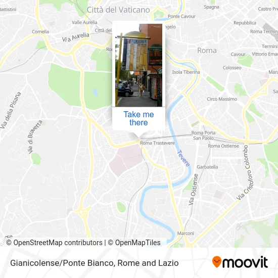 Gianicolense/White Bridge map