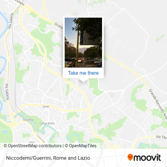 Niccodemi/Guerrini map