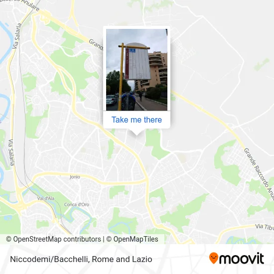 Niccodemi/Bacchelli map