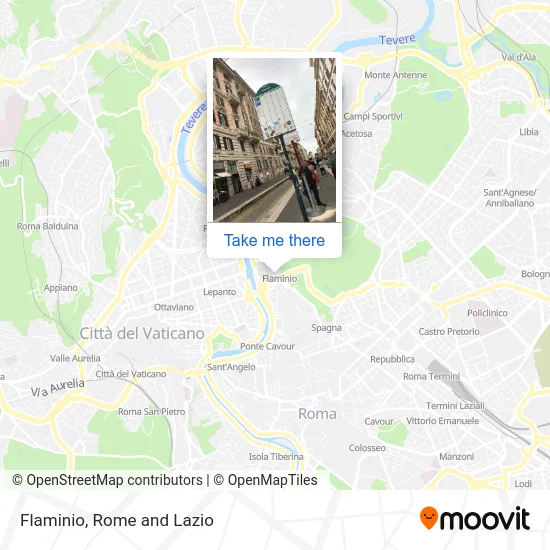 Flaminio map
