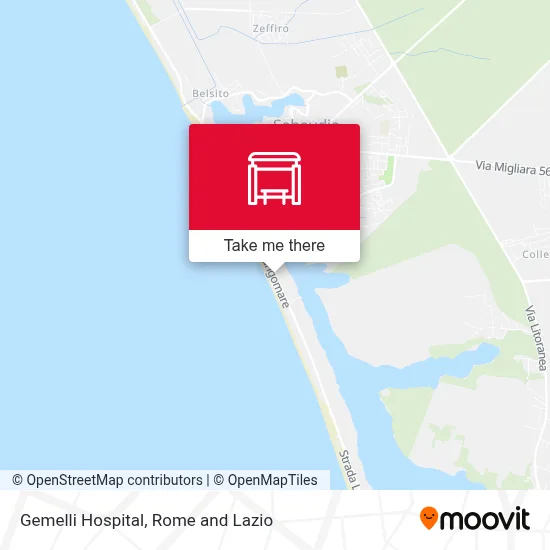 Gemelli Hospital map