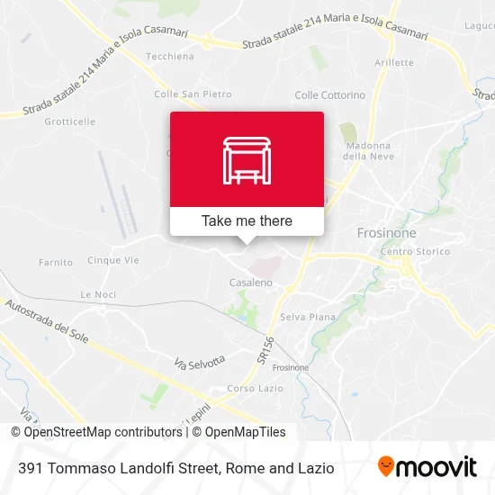 391 Tommaso Landolfi Street map