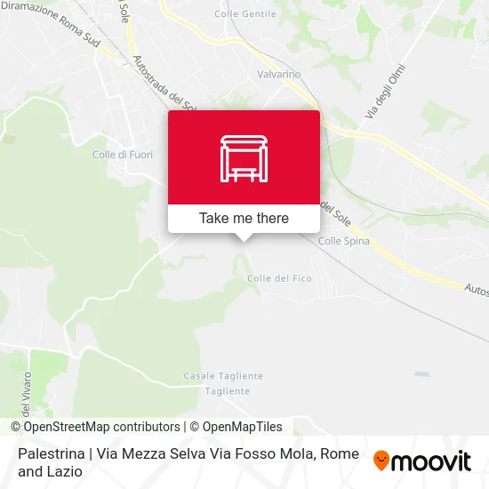 Palestrina - Mezza Selva Street / Fosso Mola Street map