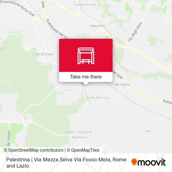 Palestrina | Via Mezza Selva Via Fosso Mola map