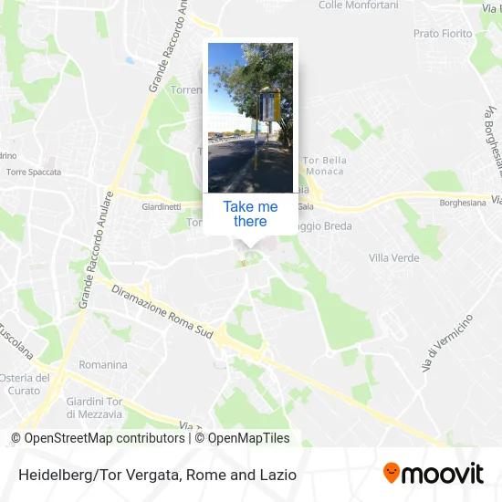 Heidelberg/Tor Vergata map