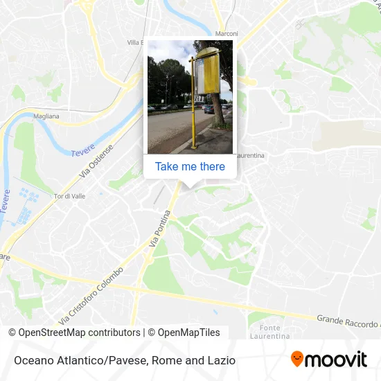 Atlantic Ocean/Pavese map