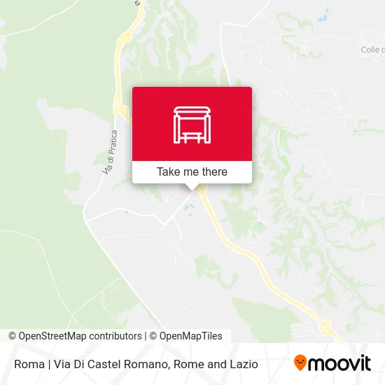 Rome | Castel Romano Street map