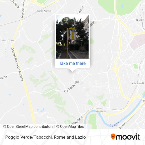 Poggio Verde/Tabacchi map