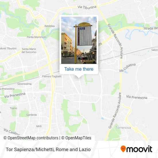 Tor Sapienza/Michetti map