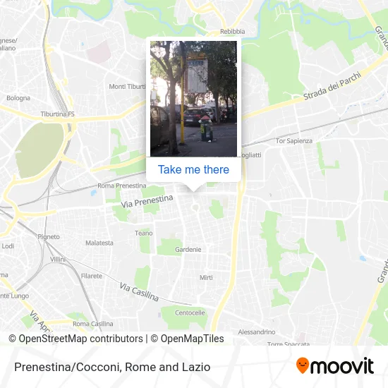 Prenestina/Cocconi map