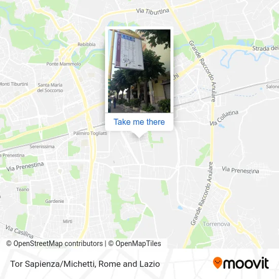 Tor Sapienza/Michetti map