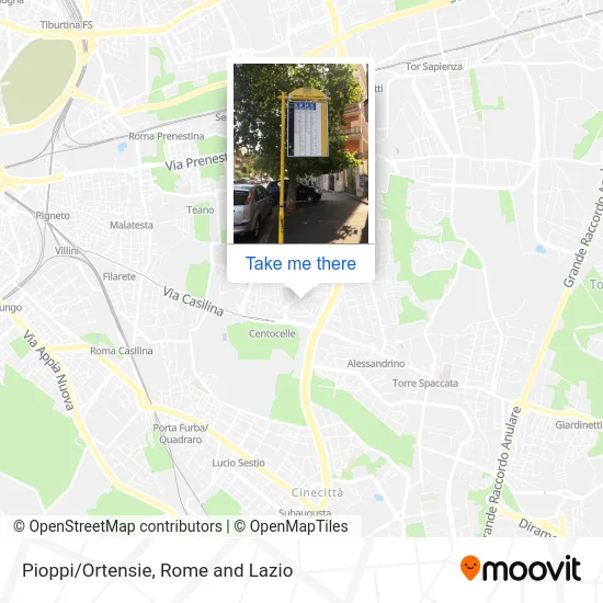 Poplars/Hydrangeas map