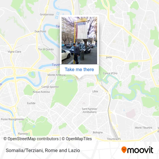 Somalia/Terziani map