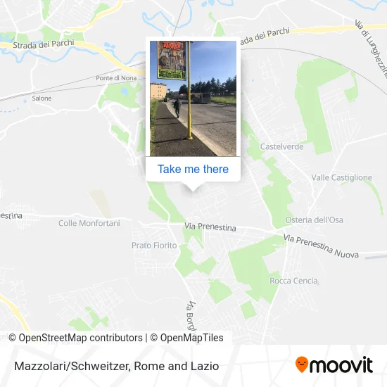 Mazzolari/Schweitzer map