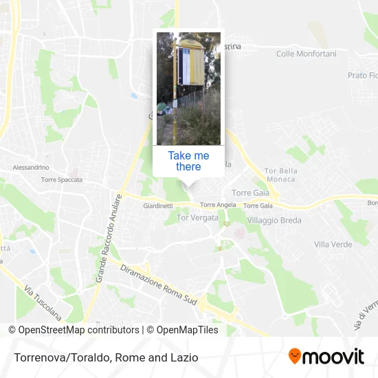 Torrenova/Toraldo map