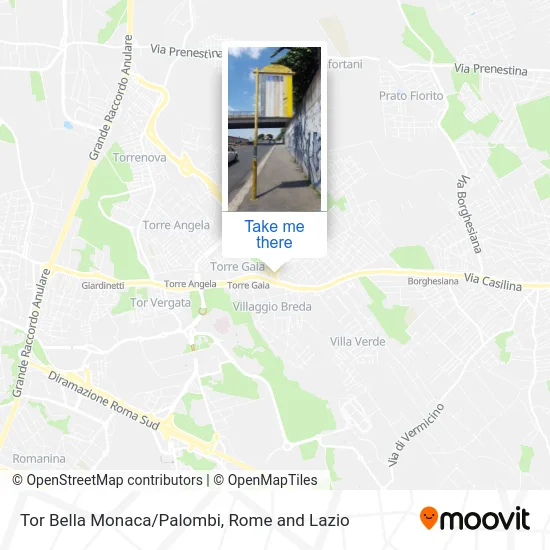 Tor Bella Monaca/Palombi map