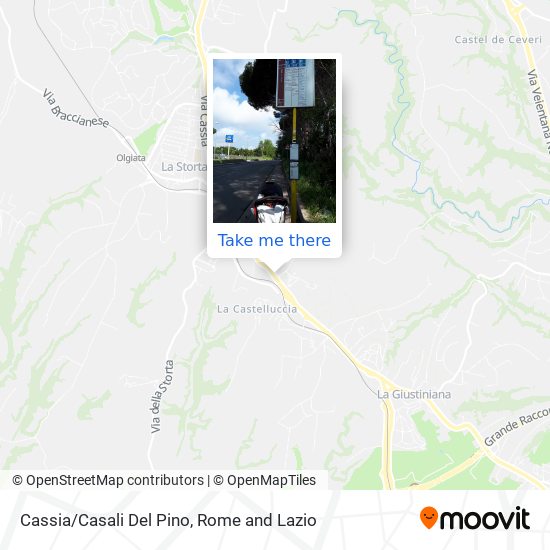 Cassia/Casali Del Pino map